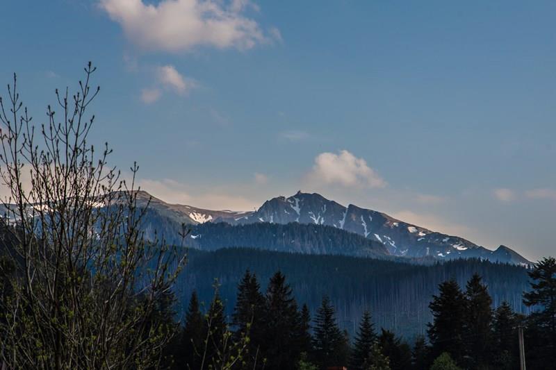 villa Zakopane camere alloggio montagne monti Tatra riposo in Polonia